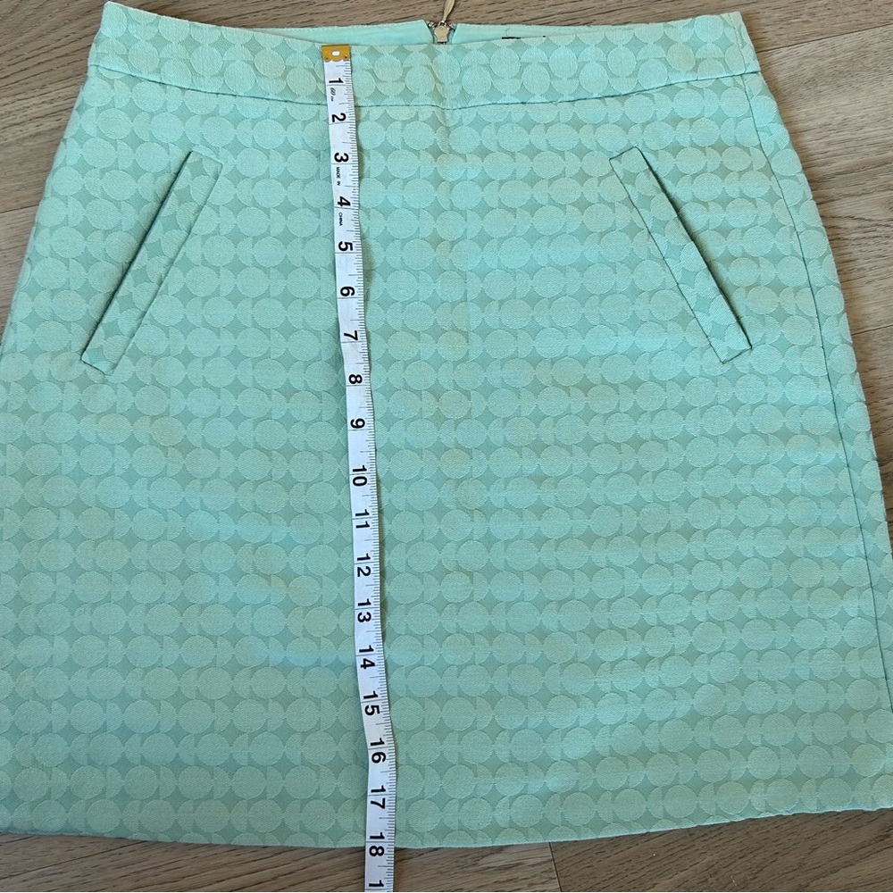 The Limited Mint Green A-Line Geometric Textured Exposed Zipper Skirt  SZ 4